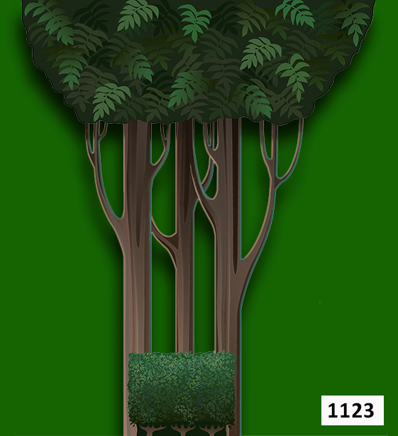 Forest Leg